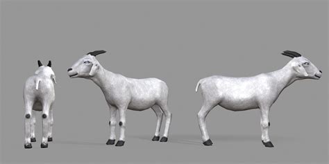 ArtStation - Goat | Game Assets