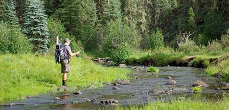 White Mountains Arizona | Show Low | Pinetop Lakeside | Greer | Springerville