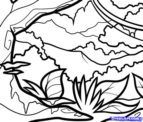 Tropical Rainforest Simple Easy Forest Drawing