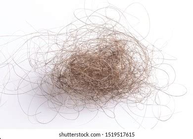 1,733 Clump Hair Images, Stock Photos & Vectors | Shutterstock