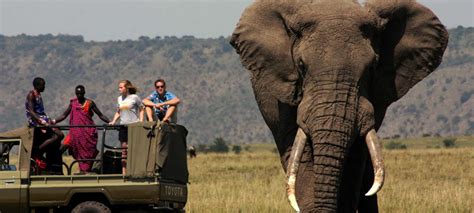 Africa's biggest elephant and the endangered Hunter's hartebeest | Discover Africa Safaris