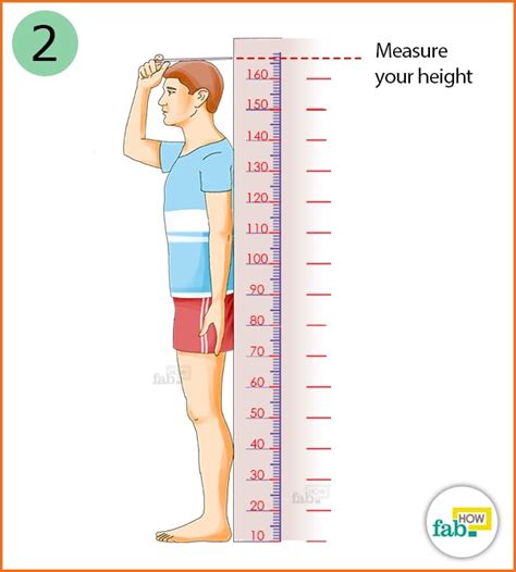 How to Correctly Calculate your Body Mass Index (BMI) | Fab How