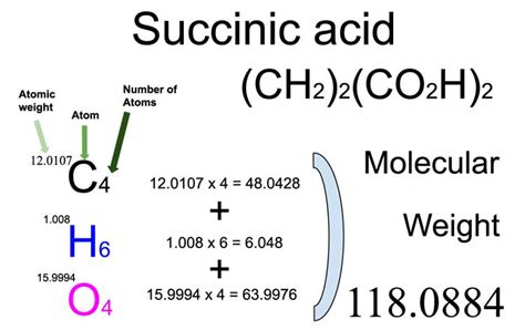 Succinic acid ((CH2)2(CO2H)2) Molecular Weight Calculation - Laboratory Notes