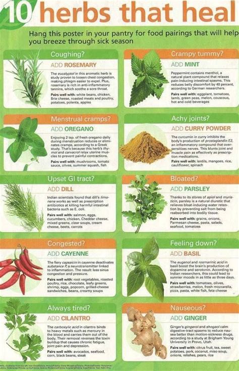 Herbs that Heal | Healing herbs, Herbs