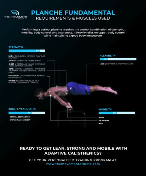 Planche – Muscle Used and Requirements - The Movement Athlete