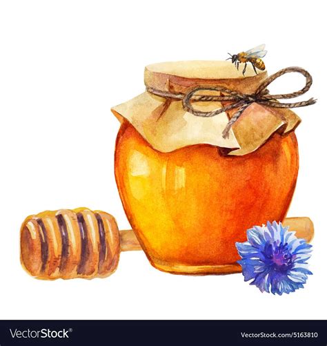 Watercolor Honey jar and honey stick and cornflower over white. Download a Free Preview or High ...