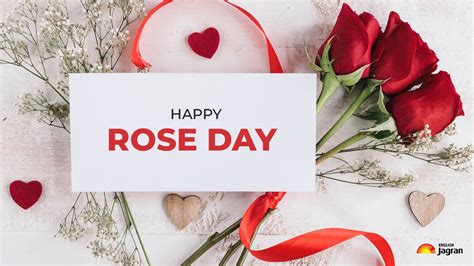 Happy Rose Day 2023: All You Need To Know About The Special Day Of Love ...