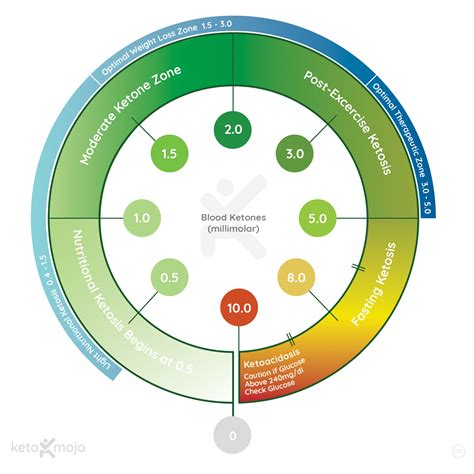 Testing Basic: What Should Your Ketone Levels Be? | KETO-MOJO