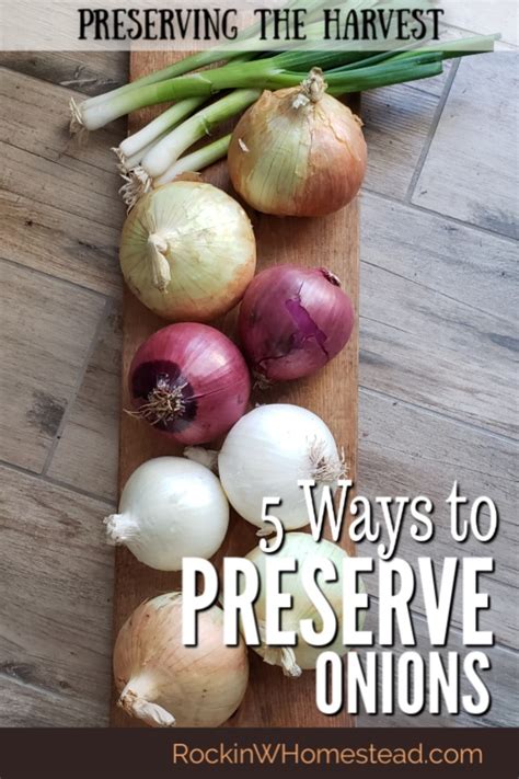 5 Ways to Preserve Onions | Rockin W Homestead