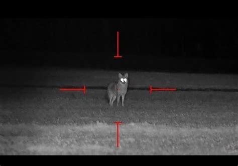 7 Best Night Vision Scopes for Coyote Hunting.Coyote Hunting Scopes