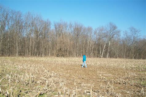 Looking for Indian artifacts in cornfield in Western Wayne County ...