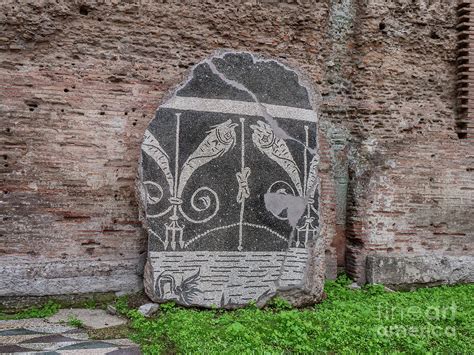 Baths of Caracalla mosaics from ancient Rome, Italy Photograph by Frank ...