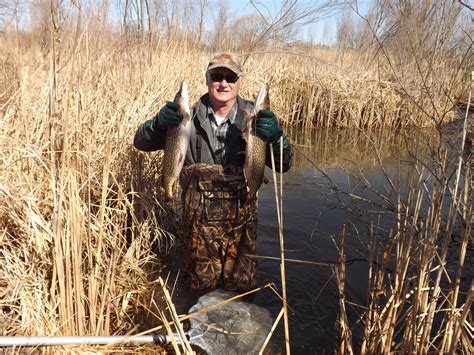 Northern Pike Habitat Restoration - Fox-Wolf Watershed Alliance