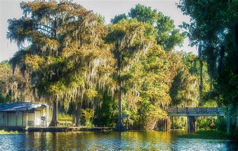 Welcome to Florida Paddle Notes - Historic Cross Creek