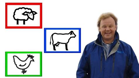 Watch a clip of Justin and learn the Makaton signs for sheep, cow and chicken. | Makaton signs ...