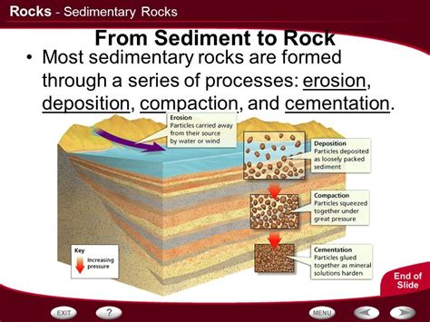 Sedimentary Rock Layers Diagram