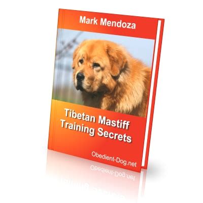 Tibetan Mastiff Training Secrets - How To Train a Tibetan Mastiff