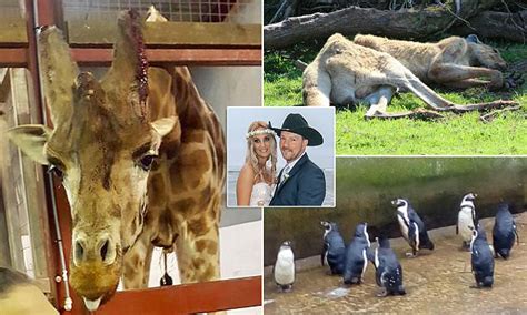 Inside Cumbria zoo where 500 animals have died | Daily Mail Online