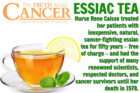 The Cancer Fighting Essiac Tea Recipe