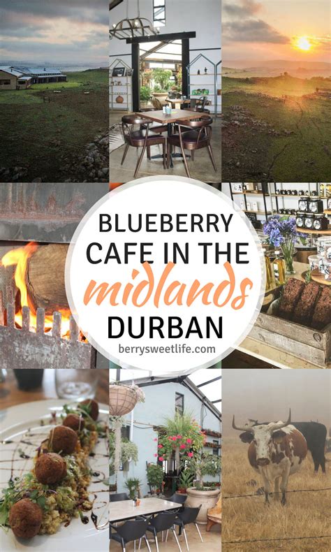 Blueberry Cafe Midlands Meander - Berry Sweet Life