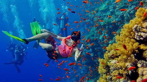 Full-day snorkeling trip to Mnemba Atoll from Nungwi, Kendwa or Matemwe | OutdoorTrip