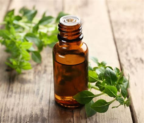 Oregano Oil For Teeth: 3 Important Benefits & How To Use It