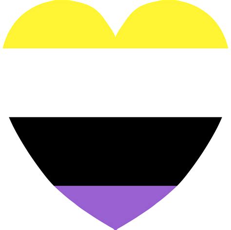 ¿Qué significa non Binary Flag? | CromosomaX