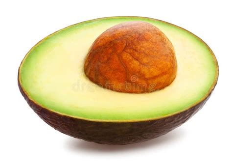 Hass avocado stock photo. Image of nutritious, halved - 138859578