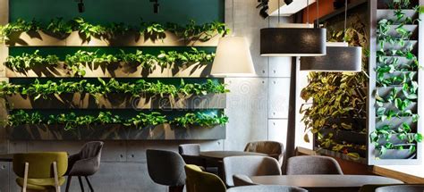 Floral Interior in Modern Cafe with Plants in Decoration Pots Stock Image - Image of decoration ...