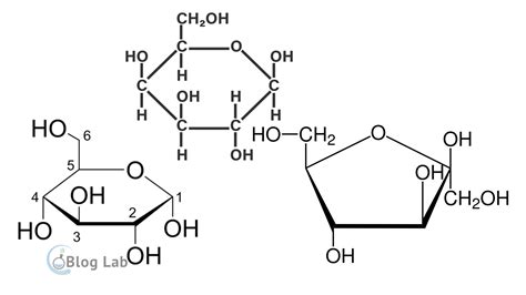 Struktur Glukosa, Galaktosa, Fruktosa Dan Fungsinya