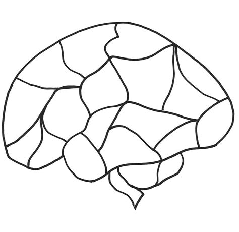 Fill In The Blank Brain Diagram - ClipArt Best