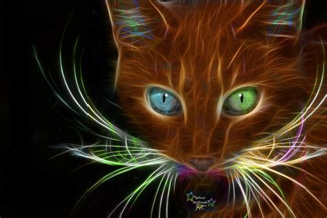 Fractals Cat | Cat art, Animal art, Fractal art