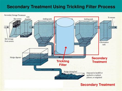 PPT - Wastewater treatment processes (I) PowerPoint Presentation, free download - ID:1211850