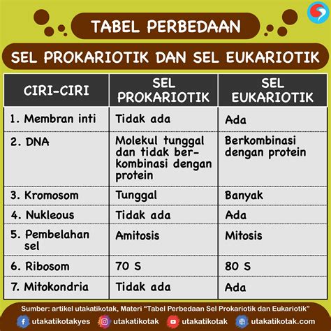 Perbedaan Sel Prokariotik Dan Sel Eukariotik - Riset