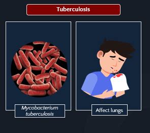 Harmful Bacteria To Humans