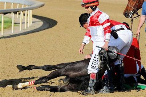 The Inevitability of Dead Racehorses - An Animal Rights Article from all-creatures.org