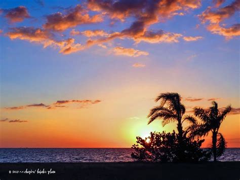 Bayonet Point, Florida. | Outdoor, Celestial, Florida