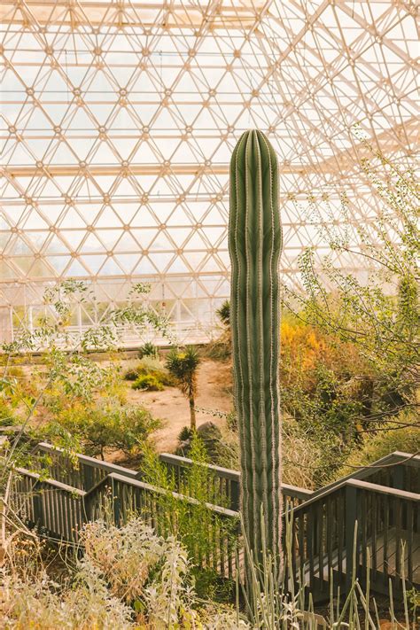 Biosphere 2: Tour a Mini Earth in the Arizona Desert | Simply Wander