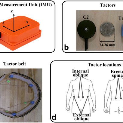 (a) Inertial measurement unit (IMU). (b) C2 and Tactaid tactors. (c)... | Download Scientific ...