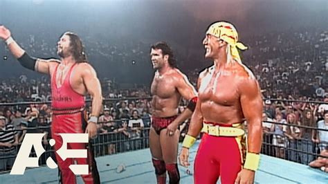 Hulk Hogan Nwo Wcw