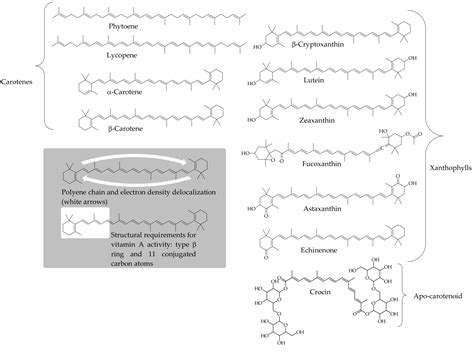 Antioxidants | Free Full-Text | Carotenoids and Chlorophylls as ...