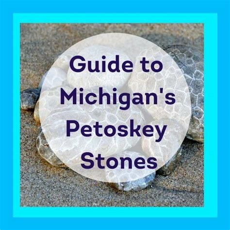 15 Places to Find Petoskey Stones in Michigan: Rock-Hunting Guide - My ...