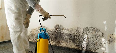 Mold Removal Chicago | Simply Mold Gone | CK General Contractors