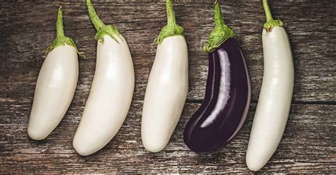 9 of the Best White Eggplant Varieties | Gardener’s Path