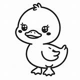 Cute Duck Coloring Page  4 Free Printable Pages sketch template