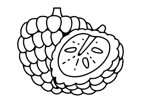 Custard Apple Fruit Coloring Page - Free Printable Coloring Pages