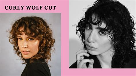 Curly Wolf Cut : Trending Korean Hairstyle - Learn Loft Blog