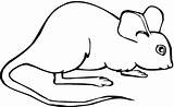 Free Printable Mouse Coloring Pages For Kids sketch template