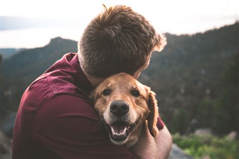 How to Tell if Your Dog Loves You - AvoDerm