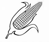 Ear Of Corn Coloring Page At GetDrawings  Free Download sketch template